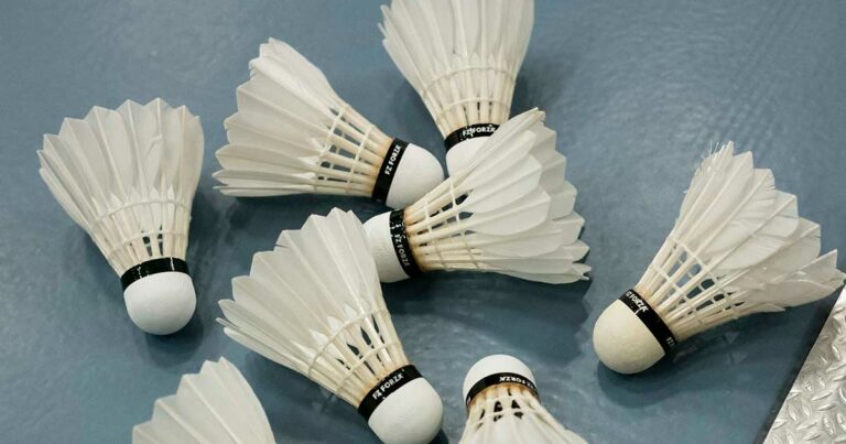 Blir badminton kanske din favorithobby?